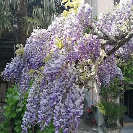 Appartement Ca' Dei Corti *